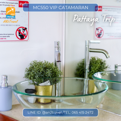 MC550VIP- 55ft  Motor Catamaran MC550VIP- 55ft  Motor Catamaran