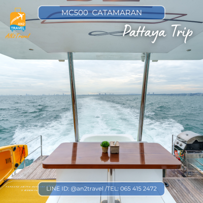 MC500- 50ft  Motor Catamaran MC500- 50ft  Motor Catamaran