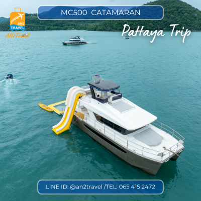 MC500- 50ft  Motor Catamaran MC500- 50ft  Motor Catamaran