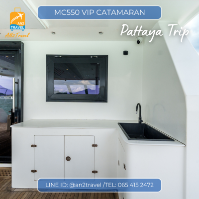 MC550VIP- 55ft  Motor Catamaran MC550VIP- 55ft  Motor Catamaran