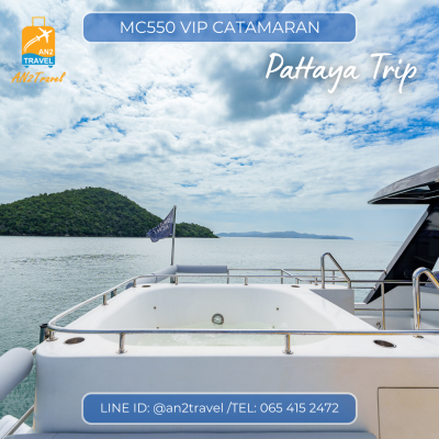 MC550VIP- 55ft  Motor Catamaran MC550VIP- 55ft  Motor Catamaran