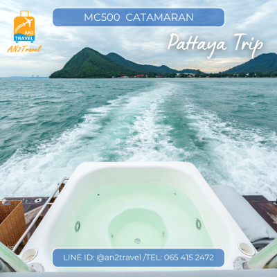 MC500- 50ft  Motor Catamaran MC500- 50ft  Motor Catamaran