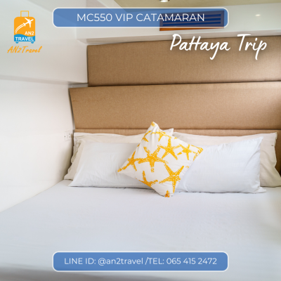 MC550VIP- 55ft  Motor Catamaran MC550VIP- 55ft  Motor Catamaran