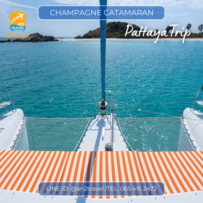 CHAMPAGNE  - 42ft  Sailing Catamaran