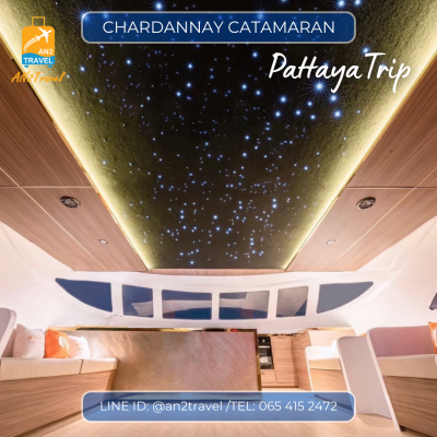 CHARDANNAY - 55ft  Power Catamaran