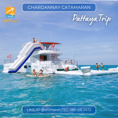 CHARDANNAY - 55ft  Power Catamaran