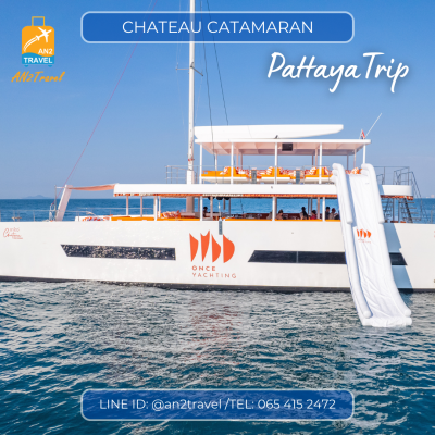 CHATEAU - 82ft  Power Catamaran