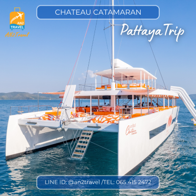 CHATEAU - 82ft  Power Catamaran