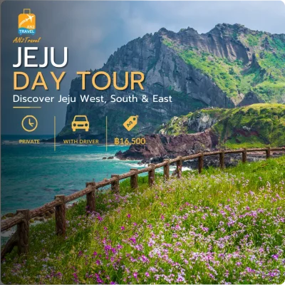 Jeju Private Day Tour