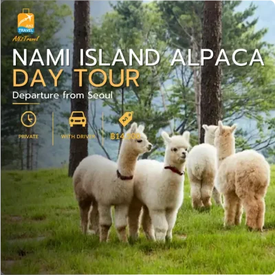 Nami Island & Alpaca World Private Day Tour