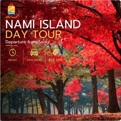 Nami Island & Bike Private Day Tour