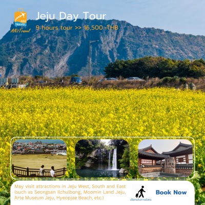 Jeonju Private Day Tour