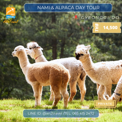 Nami Island & Alpaca World Private Day Tour