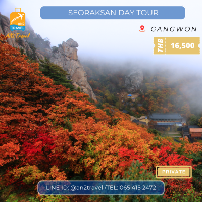 Seoraksan Private Day Tour