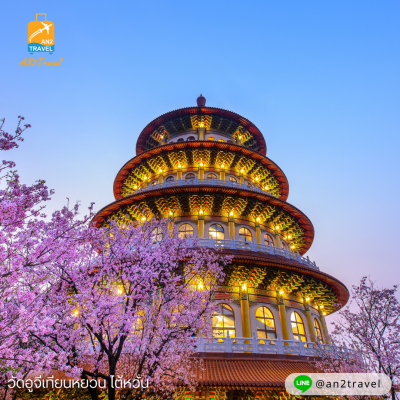 Taiwan Nantou Taipei Sun Moon Cruise, see cherry blossoms at Tianyuan Temple (full tour), Vietjet Air (VZ)