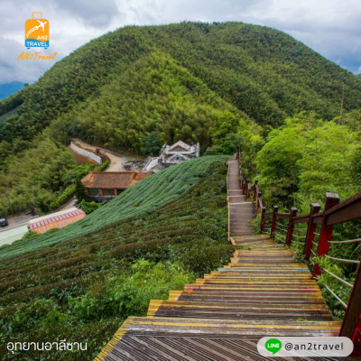 ALISHAN COUNTDOWN 2025 5วัน 4คืน โดยสายการบิน CHINA AIRLINES (CI)