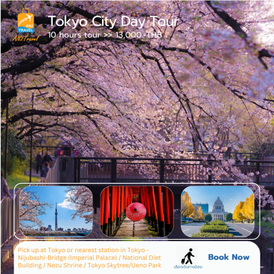 Tokyo City Private Day Tour