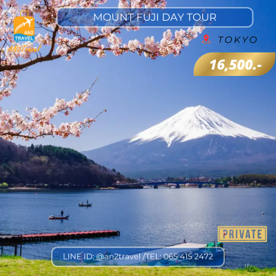 Mounth Fuji Private Day Tour