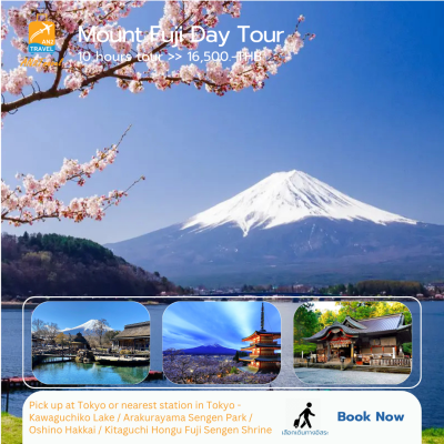 Mounth Fuji Private Day Tour