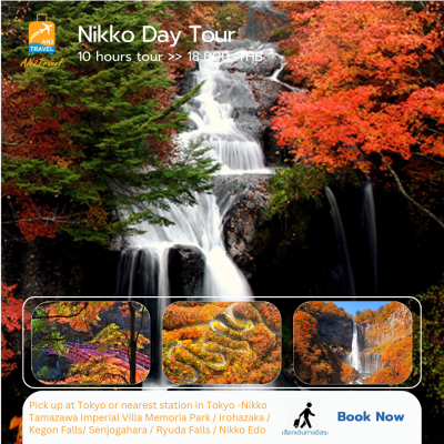 Nikko Private Day Tour