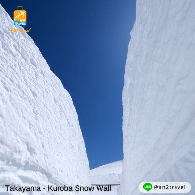 Nagoya, Shirakawa-go, Hakuba, Fuji, Tokyo 6 days 4 nights, Thai Airways (TG)