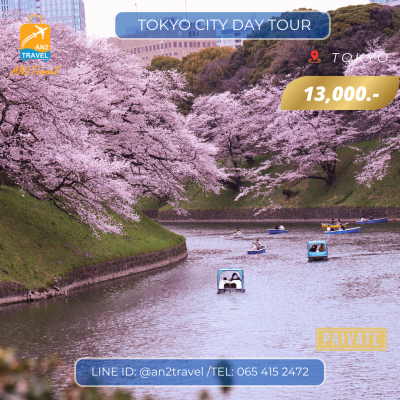 Tokyo City Private Day Tour