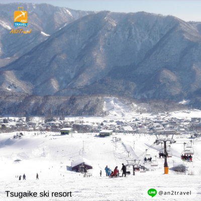 Nagoya, Shirakawa-go, Hakuba, Fuji, Tokyo 6 days 4 nights, Thai Airways (TG)