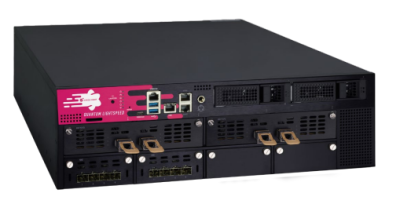 Check Point Quantum QLS450 Lightspeed