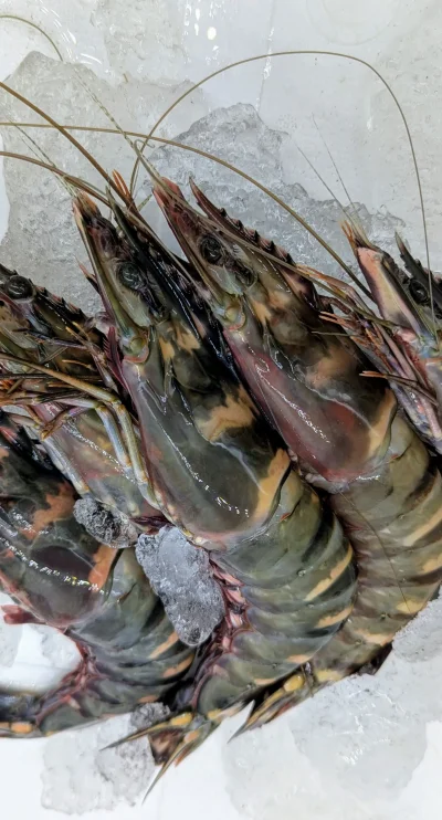 กุ้งลายเสือทะเลสดแช่แข็ง (Tiger shrimp) แพ็ค 1 Kg.