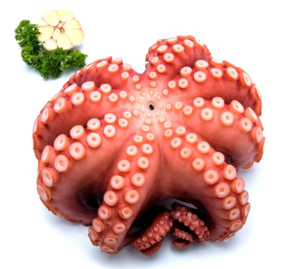 ปลาหมึกยักษ์ทาโกะ (Tako) Size 2 Kg./ชิ้น