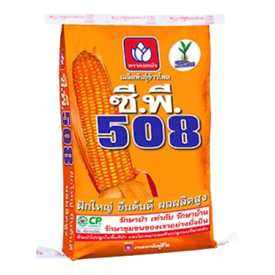 เมล็ดพันธุ์ข้าวโพด ซี.พี. 508 ขนาด 10 กิโลกรัม