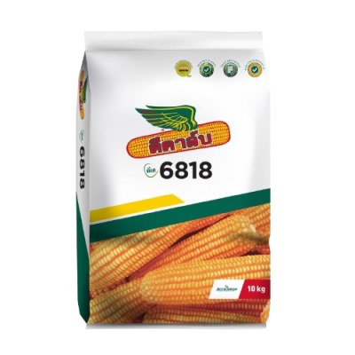 เมล็ดพันธุ์ข้าวโพด ดีคาล์บ 6818 ขนาด 10 กิโลกรัม