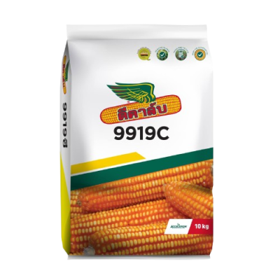 เมล็ดพันธุ์ข้าวโพด ดีคาล์บ 9919C ขนาด 10 กิโลกรัม