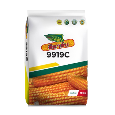 เมล็ดพันธุ์ข้าวโพด ดีคาล์บ 9919C ขนาด 10 กิโลกรัม เมล็ดพันธุ์ข้าวโพด ดีคาล์บ 9919C ขนาด 10 กิโลกรัม