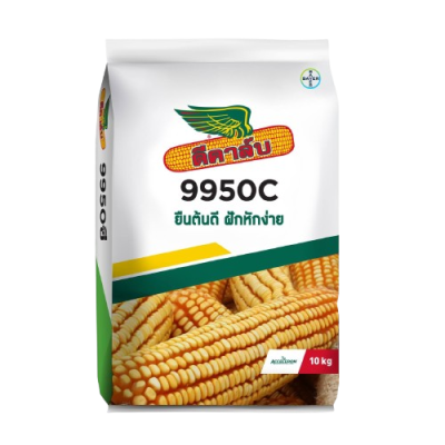 เมล็ดพันธุ์ข้าวโพด ดีคาล์บ 9950C ขนาด 10 กิโลกรัม