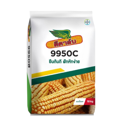 เมล็ดพันธุ์ข้าวโพด ดีคาล์บ 9950C ขนาด 10 กิโลกรัม เมล็ดพันธุ์ข้าวโพด ดีคาล์บ 9950C ขนาด 10 กิโลกรัม