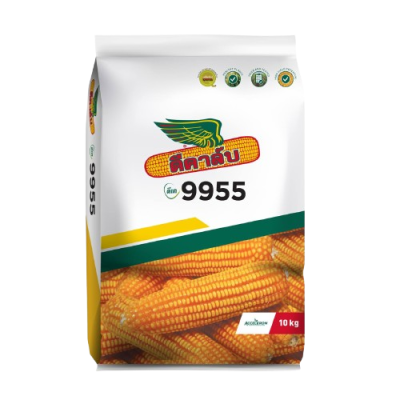 เมล็ดพันธุ์ข้าวโพด ดีคาล์บ 9955 ขนาด 10 กิโลกรัม