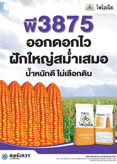 ไพโอเนียพี3875