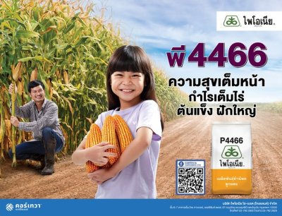 เมล็ดพันธุ์ข้าวโพดไพโอเนีย P4466 ขนาด 10 กิโลกรัม