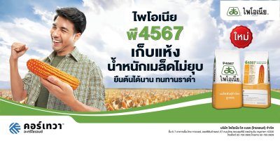 เมล็ดพันธุ์ข้าวโพด ไพโอเนีย พี4567 ขนาด 10 กิโลกรัม