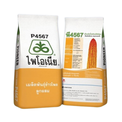 เมล็ดพันธุ์ข้าวโพด ไพโอเนีย พี4567 ขนาด 10 กิโลกรัม
