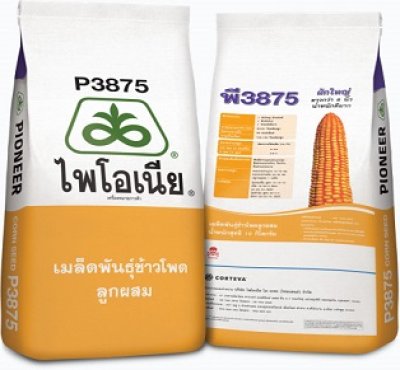 เมล็ดพันธุ์ข้าวโพด ไพโอเนีย พี3875 ขนาด 10 กิโลกรัม