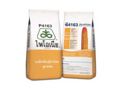 เมล็ดพันธุ์ข้าวโพด ไพโอเนีย พี4163 ขนาด 10 กิโลกรัม