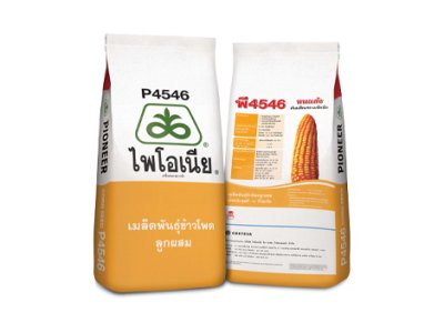 เมล็ดพันธุ์ข้าวโพด ไพโอเนีย พี4546 ขนาด 10 กิโลกรัม
