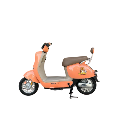 รถจักรยานไฟฟ้า TORA รุ่น A3 (สีส้ม)