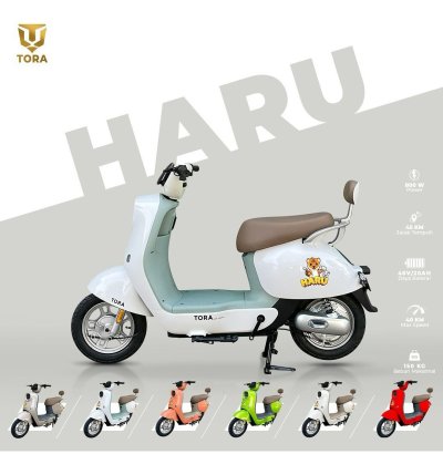 รถจักรยานไฟฟ้า TORA รุ่น A3 (สีเขียวพาสเทล)