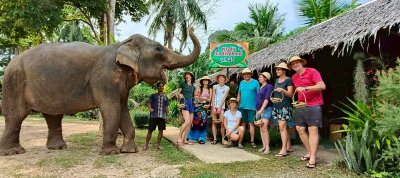 Program B – Premium Afternoon Elephant Experience  For Children