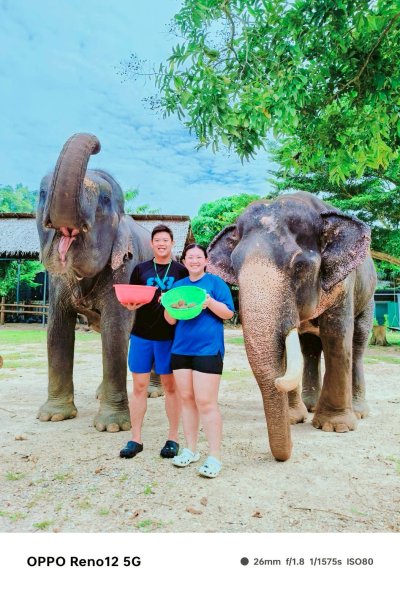 Program B – Premium Afternoon Elephant Experience  For Children