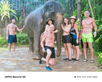 Program C: Bathing with Elephants For - Children