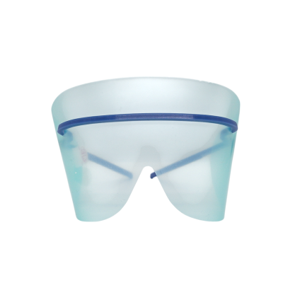 Protective Visor 1:1